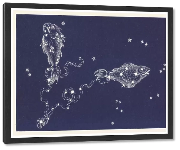 Pisces. The Constellation Pisces