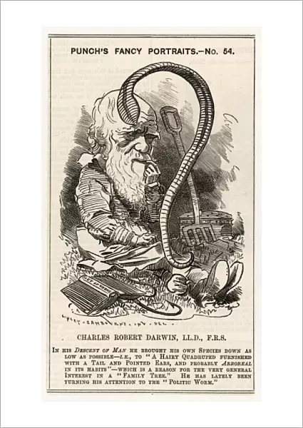 Charles Darwin studying a worm