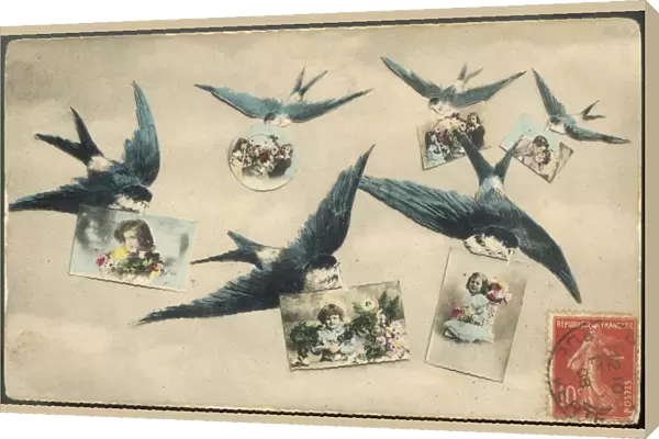 Swallows  /  Postcards 1908