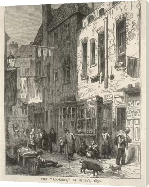 Seven Dials  /  Slums  /  1850