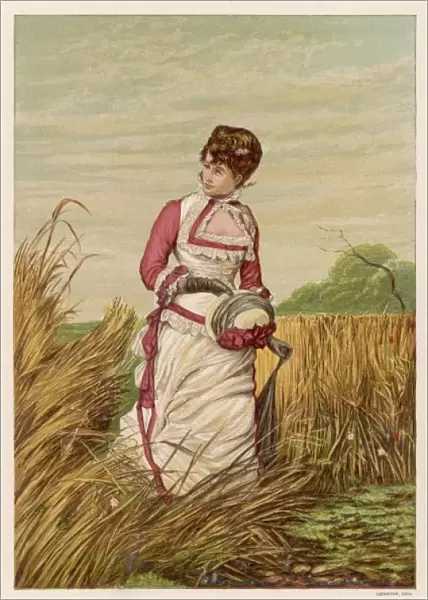 In the Cornfields 1881