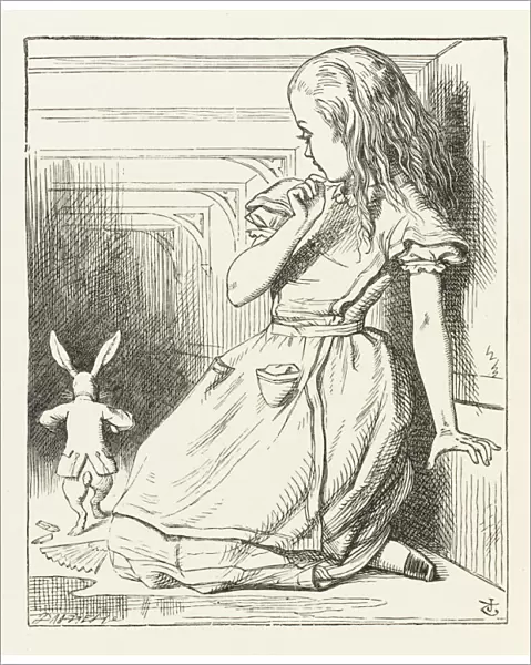 Alice Watches Rabbit