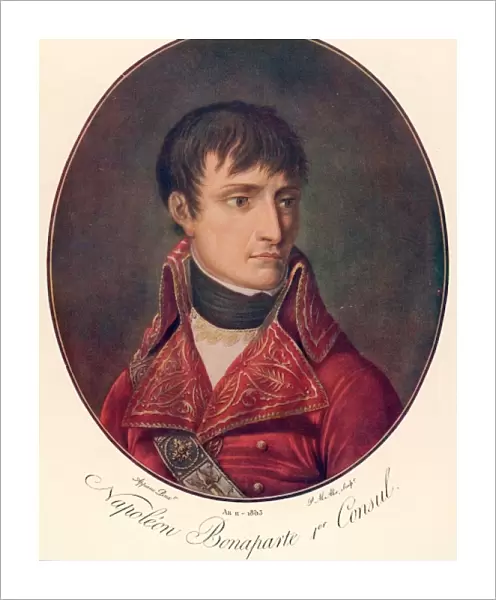 Napoleon (Appiani)