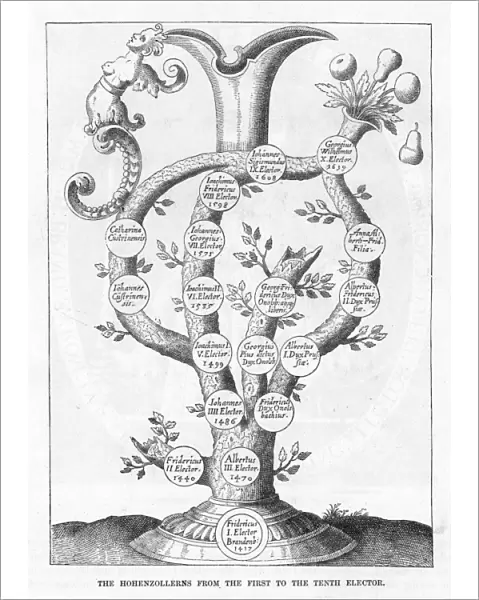 Hohenzollern Fam Tree