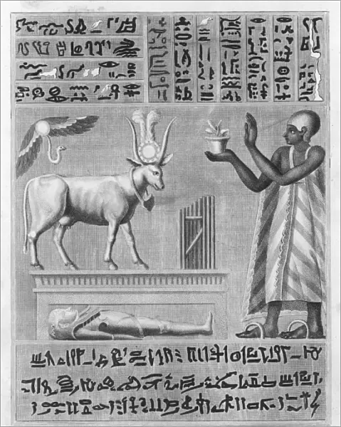 Egyptian Manuscript
