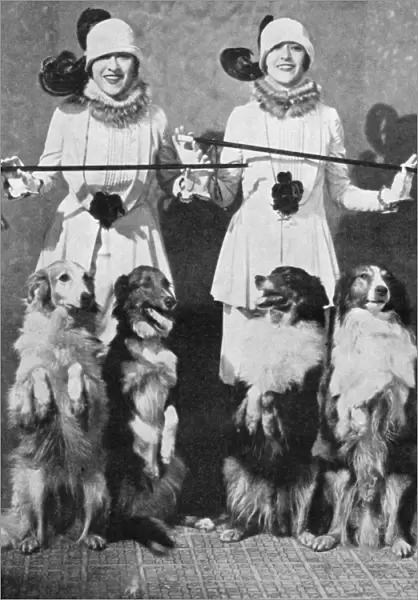 The Dolly Sisters with their Collies