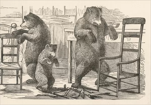 Bears Find the Chairs