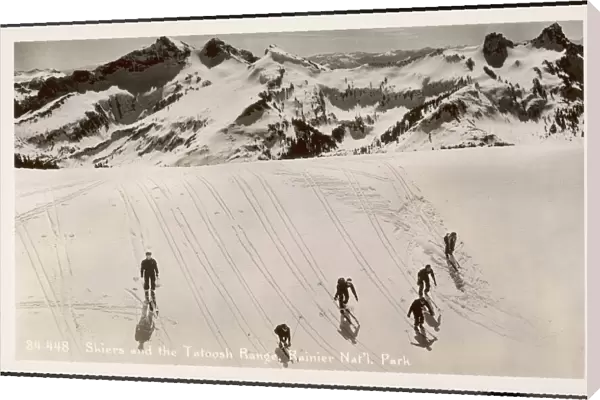 Skiing  /  Tatoosh  /  Photo