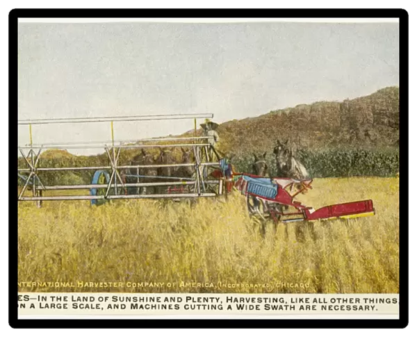Harvesting in the USA