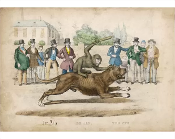 Monkey Rides a Dog  /  1845
