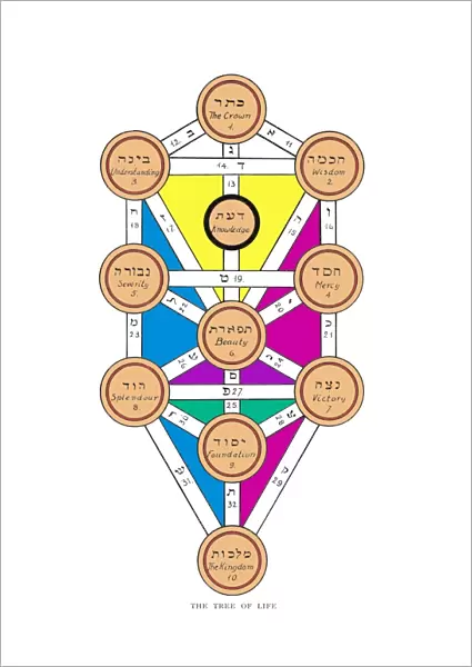 Cabbala Tree of Life  /  Col