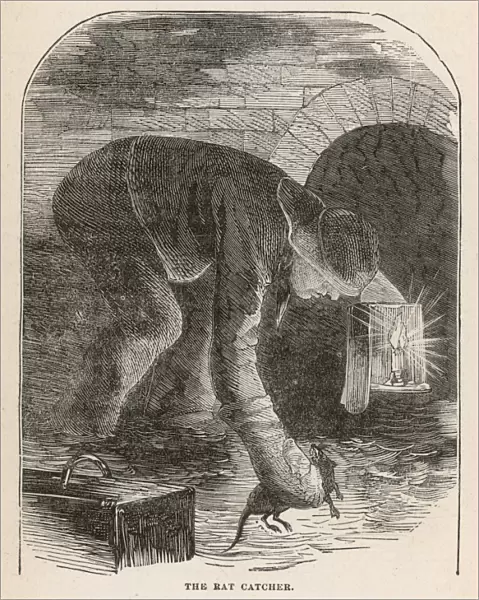 Ratcatcher in Sewer 1870