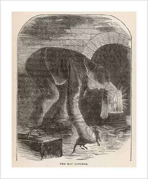 Ratcatcher in Sewer 1870
