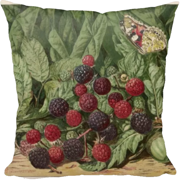 A Bunch of Blackberries