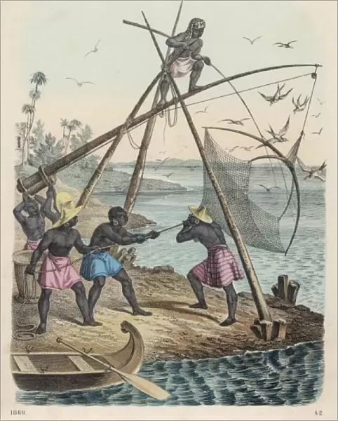 Net Fishing  /  Africa