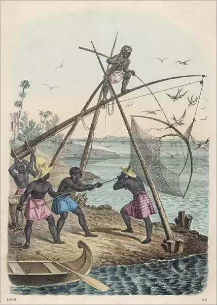 Net Fishing  /  Africa