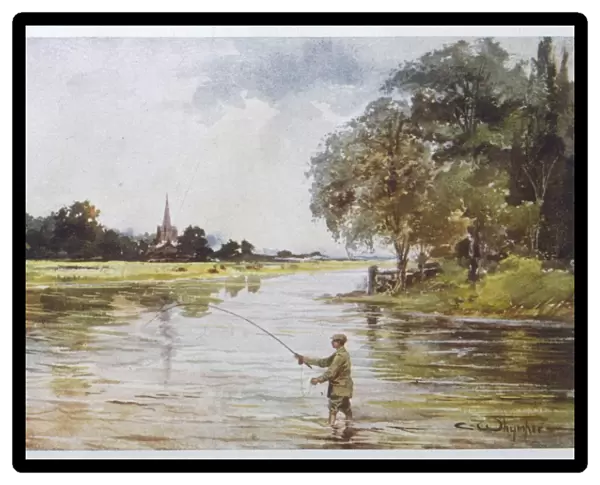 Trout Fishing  /  Hampshire