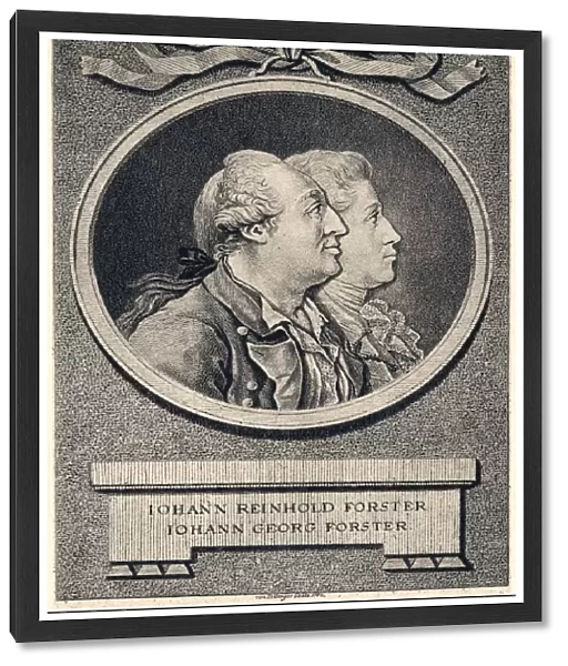 Johann & Georg Forster