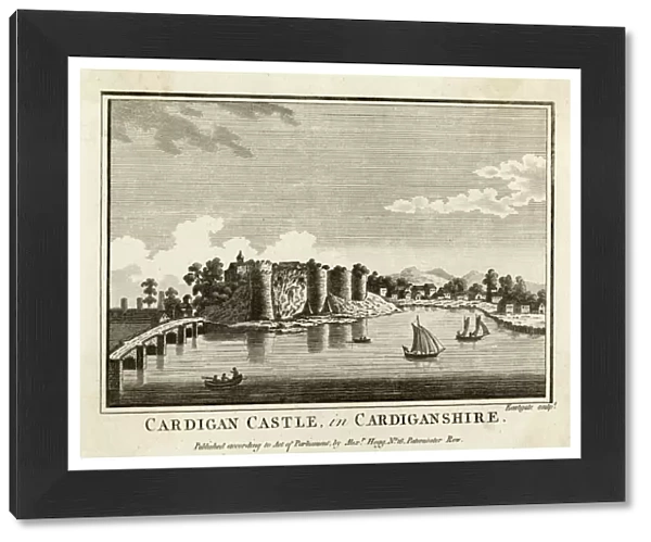 Cardigan Castle  /  Wales