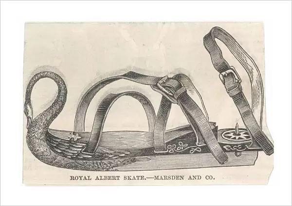 Royal Albert Skate 1851