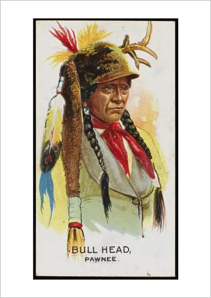 Racial  /  Bull Head  /  Pawnee