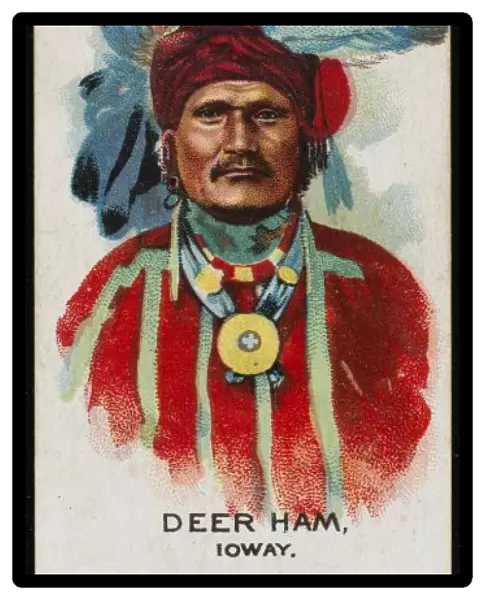 Racial  /  Deer Ham  /  Ioway