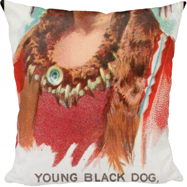 Racial  /  Young Black Dog