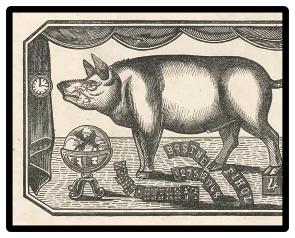 Pig  /  Learned Toby 18C