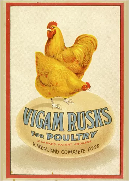 Advert  /  Chicken Feed