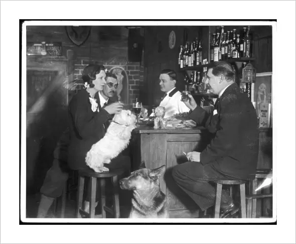 Dogs Club Cocktail Bar
