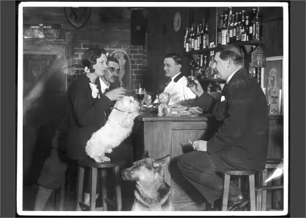 Dogs Club Cocktail Bar