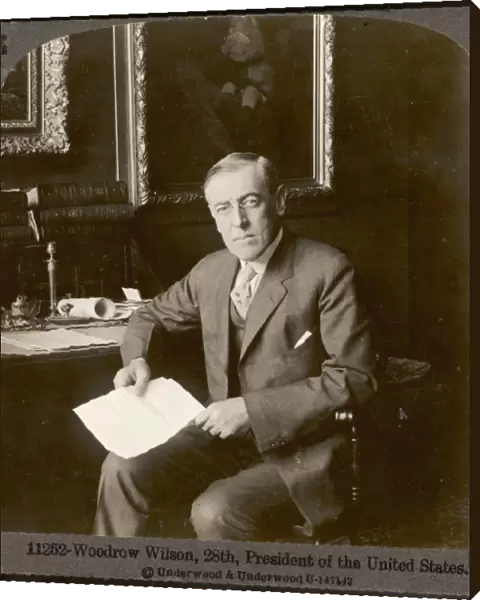 Woodrow Wilson  /  Stereosco