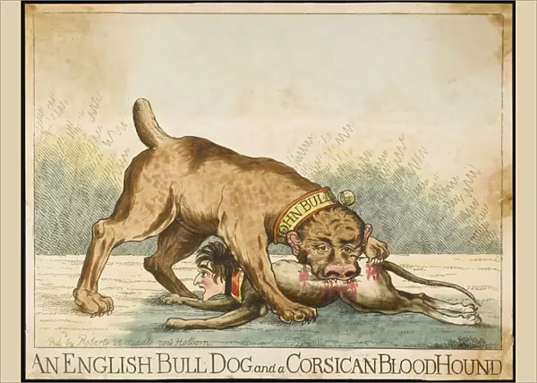 Bulldog and Bloodhound