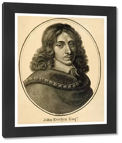 John Evelyn  /  Swaine