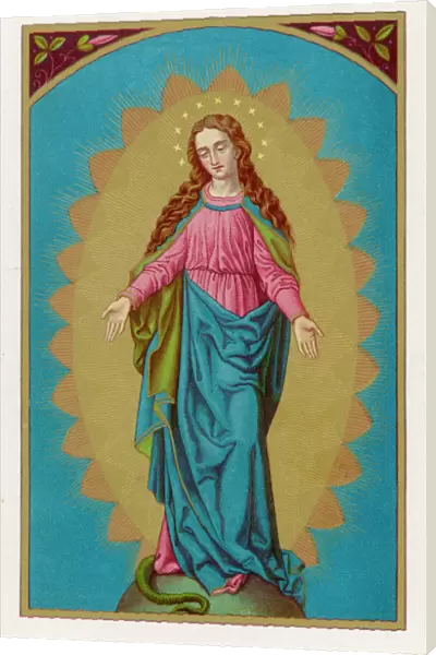 Mary Immaculate Virgin