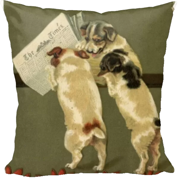 Terriers Read the Times