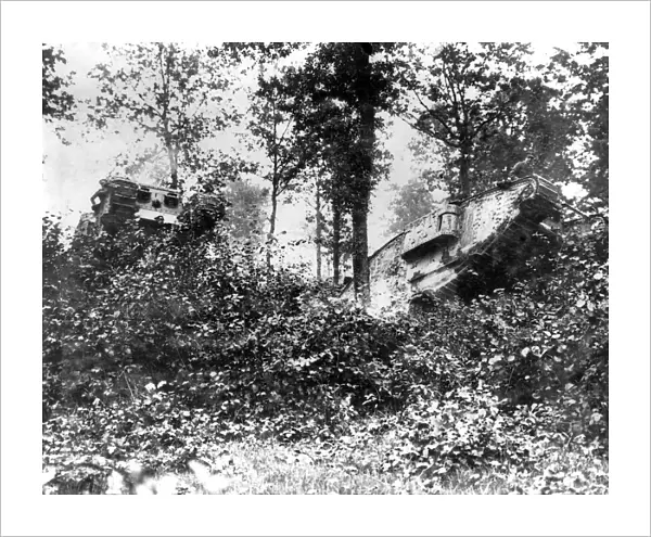 British tanks in Oosthoek Wood, Belgium, WW1