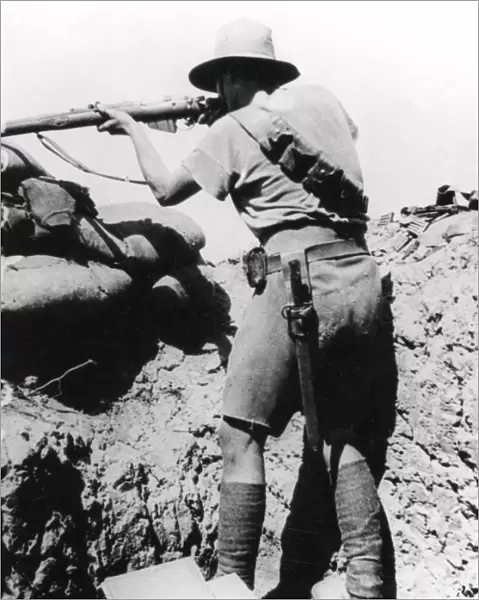Australian soldier near Gaza, WW1