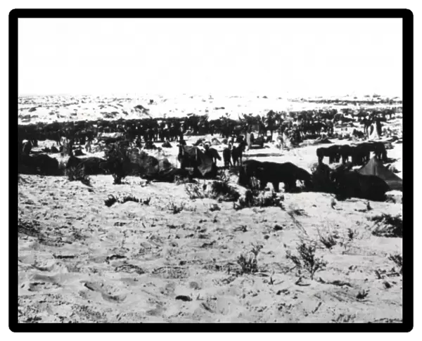 5th Light Horse Regiment camp near Gaza, WW1