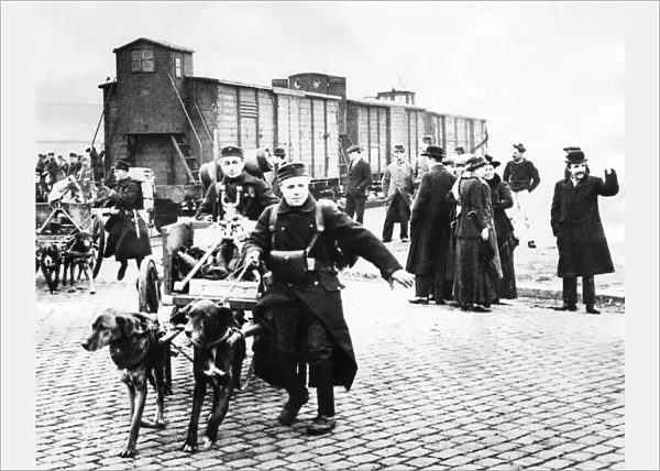 Belgian troops with dogs, Belgium, WW1