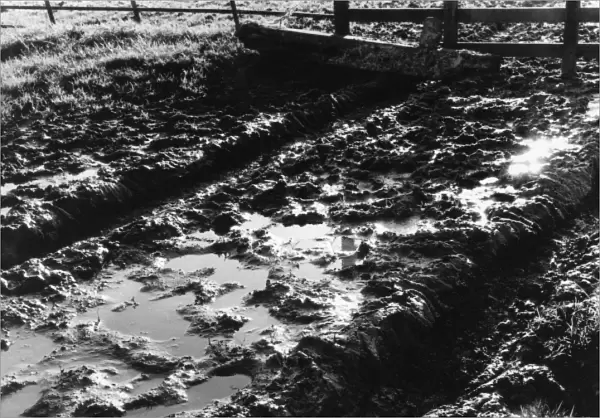 Muddy Country Lane
