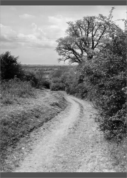 Old Banbury Trackway