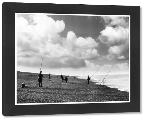 Norfolk Sea Anglers