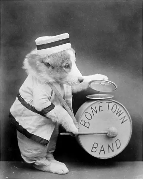 Bone Town Band