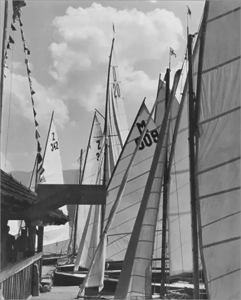 Yachts & Sails