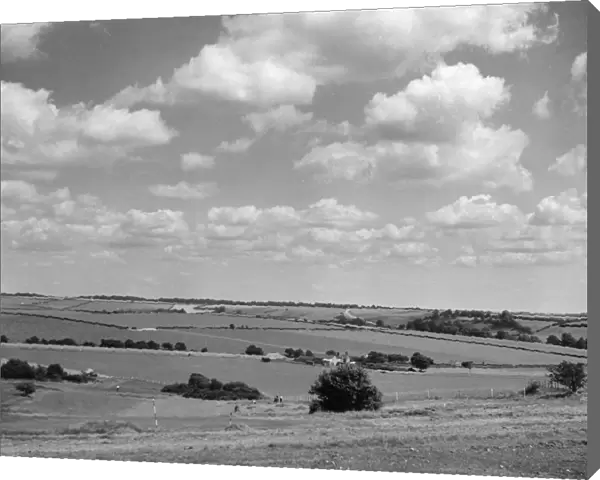 Dorset Panorama