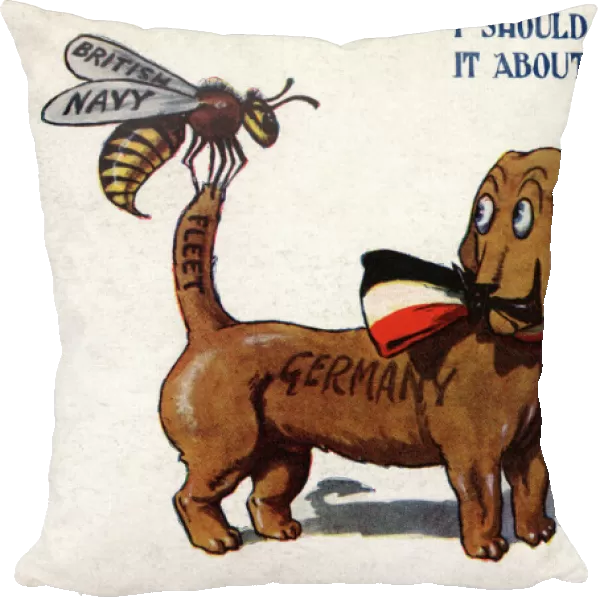 Dog and British Wasp