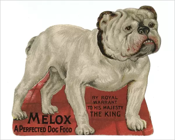 Bulldog Advertisement