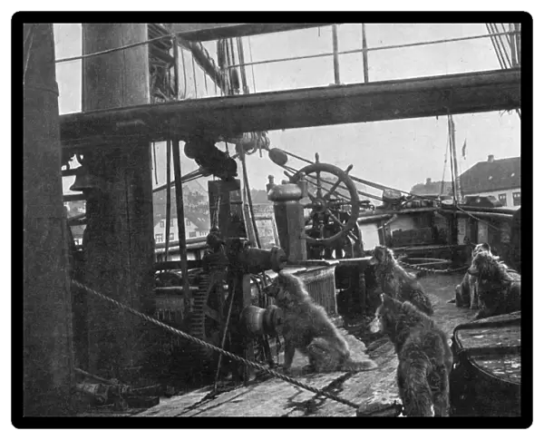 The Deck of the Fram, 1912