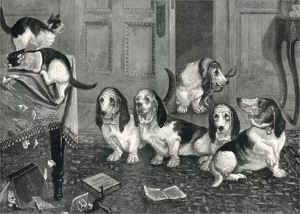 A new dog-fancy: the Basset Hounds by Louis Wain
